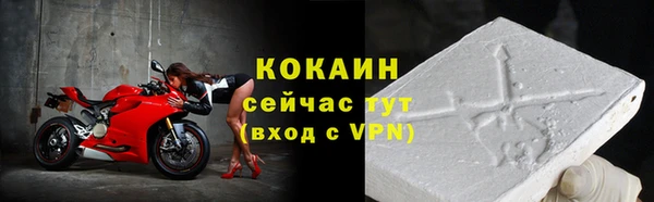 ALPHA PVP Богородицк