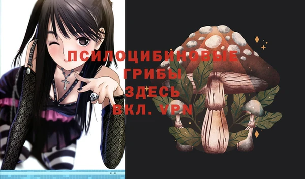 прущая мука Богородск