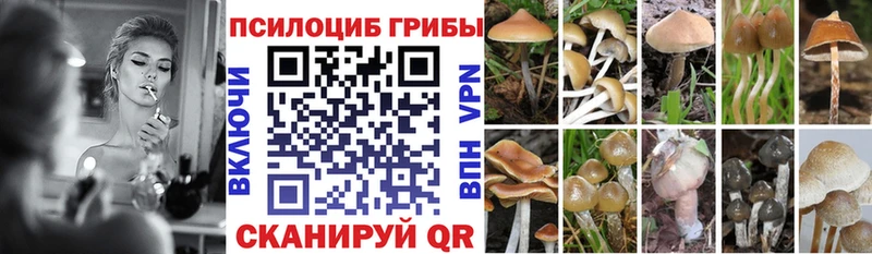 Псилоцибиновые грибы ЛСД  кракен   это как зайти  Комсомольск 